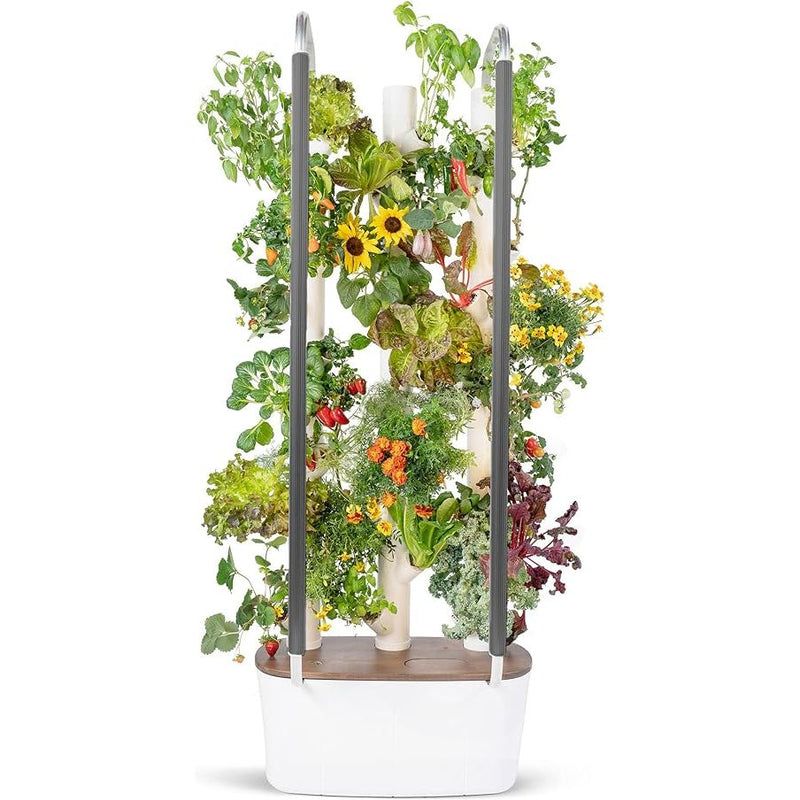 Gardyn 3.0 Hydroponics Growing System & Vertical Garden Planter | Indoor Smart Garden| Includes 30 Non-GMO Indoor Plants, Herbs & Vegetables & LED Grow Lights for Your Home Indoor Gardening System